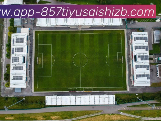 857体育赛事直播平台生态图